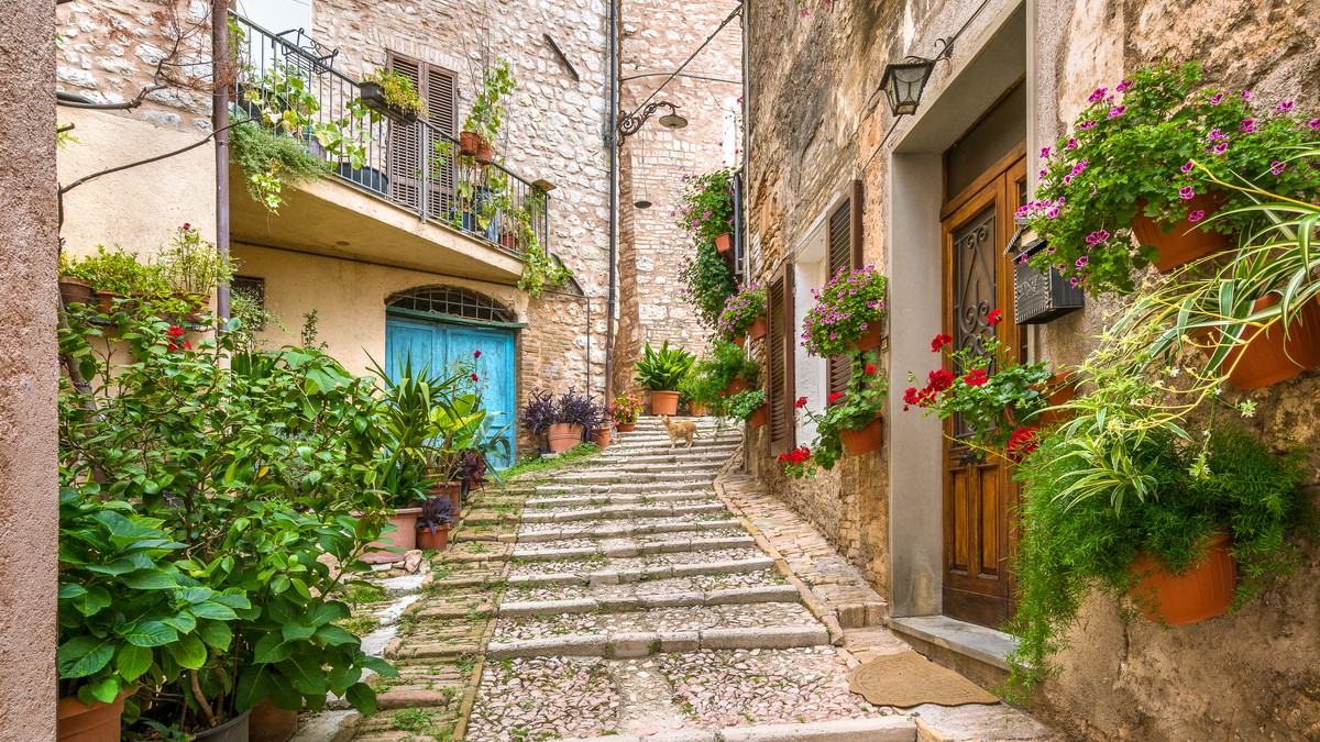 Trevi - Azienda Agricola Montioni